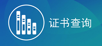 查询系统
